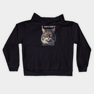 Cat I Am Not Anti Social Kids Hoodie